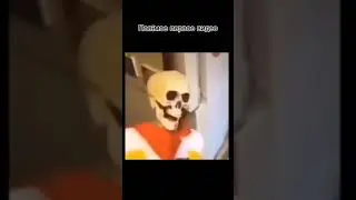28 августа 2024 г.