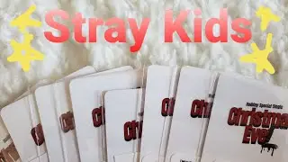 Stray Kids Christmas Evel Aladin POB Photocards
