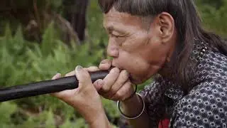 Maleisische blaaspijpjager #3 Dumpert