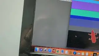 Screamer Bunny Fun - 2D Flash Game