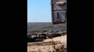 Windsurfing where the CMLF goes out into the Bay.