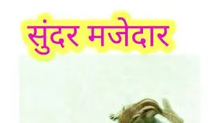 खार इयत्ता २ री धडा १७ वा खार / squirrel / सुंदर मजेदार, शेपूट तिचे झुबकेदार