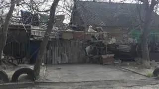 Процедура затягивания сорвавшегося с цепи пса обратно в мусорное царство.