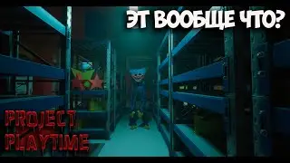 Project Playtime что эт такое?
