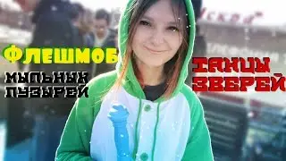 *Мыльный Флешмоб и танцы в кигуруми*