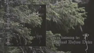 VzoR - Darkest Before Dawn (Single 2022)