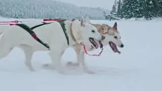 Muonio – Winterwunderland in Lappland
