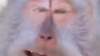 Дану его все ***** ;)