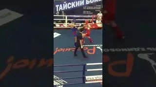 Чемпионат области по тайскому боксу