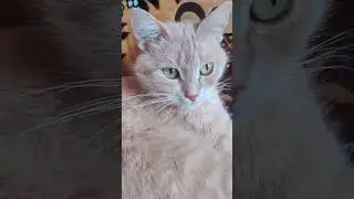 давай снимай уже