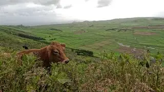 Miradouro da Serra do Cume