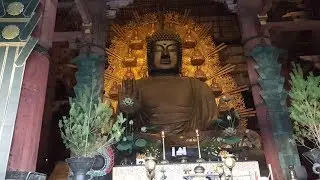 Giant Buddha Statue and Ancient Temples in Nara Japan