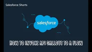 How to Invoke apex API callout class to a flow | Salesforce  