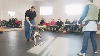 Тренинг с Виктором Яковенцевым Томск Спринт