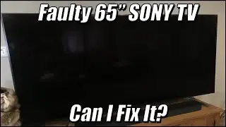Faulty 65