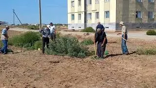 #Onlayn#Shembilik Bozataw rayonında “Máhálle abat - jurt abat”  https://t.me/bozataw_uz