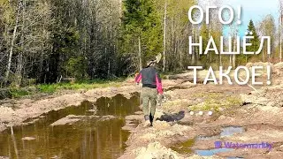 НЕ КАЖДЫЙ ДЕНЬ ТАКОЕ УВИДИШЬ. ДЕД ЗА СЕКУНДУ ДО НАХОДКИ!