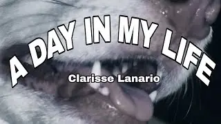 A Day in my Life | Clarisse Lanario