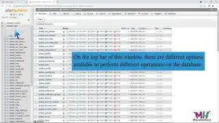How to export database table via phpMyAdmin in cPanel with MonsterHost