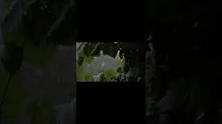 Дождь и музыка /Rain and music  #shorts