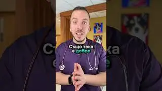 Безопасно ли е да пускаш котката си 🐈навън 🏡