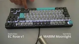Satisfying Varmilo Keyboard with EC Rose Switches!