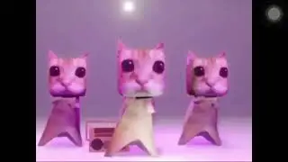 #meme