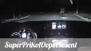 Кто пустил ее за руль?