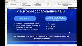 инвестиции в медицинский каннабис с фондом Sincere Systems Group.