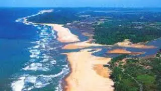 Aquatic life | Wikipedia audio article