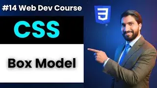 CSS Box Model Explained: Margin, Padding, Borders | Web Development Mastery Course By Mbs Coding #14