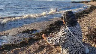সামার হলিডে ঘুরে বেড়ানো | Summer Holiday  | West Country Travel