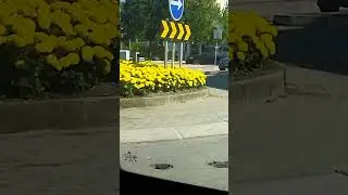 10 de setembro de 2024(1)