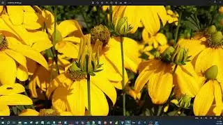 ASMR - Quick as Linthicum - Robotic Process Automation Keyword Libraries in alphabetic order.