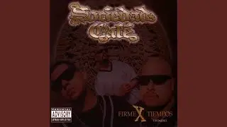 Firmex Tiempos
