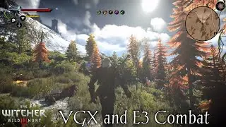 Witcher 3 modded brutal combat, VGX sword walking, Immersive Cam (settings) and many more.