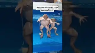 🤣🤣🤣