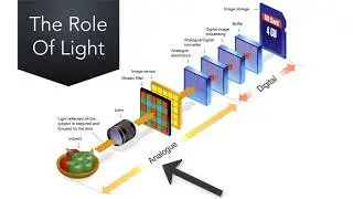 The elements of digital photography: Light