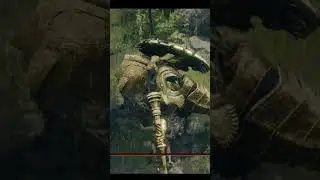 Be like water in Elden Ring Reforged