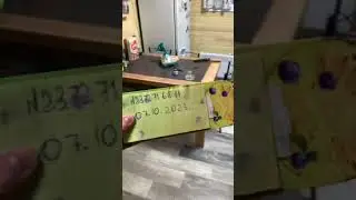 Видео подтверждение для авито