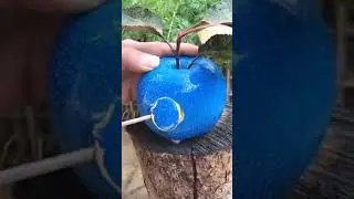 تلاوه خاشعه من سورة الرحمن القارئ الشيخ هشام الهراز