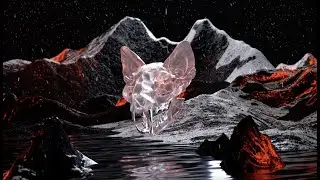 Darci - Grave Shift (Official)