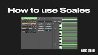 How to use Scales in Ableton Live in Ableton Live