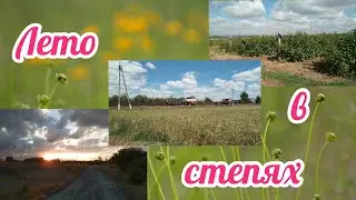 Северянка на хуторе//Новая дорога. Кто умница?//Моя подработка