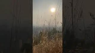 Feel the Nature 🌾
