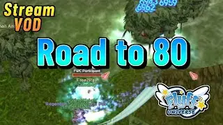 Flyff Universe - Road to Level 80 in Darkon mit HNR Elementor