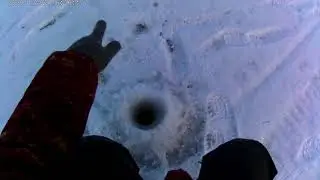 Чаны Сорочиха 02 12 2020