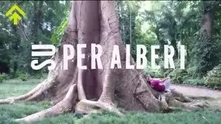 Venezuela: discovery of green giants | SuPerAlberi