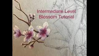 Intermediate level Blossom colouring tutorial