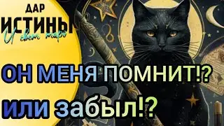 ✅🔯⁉️🔯✅ ОН МЕНЯ ПОМНИТ или ЗАБЫЛ⁉️⁉️⁉️🔯✅